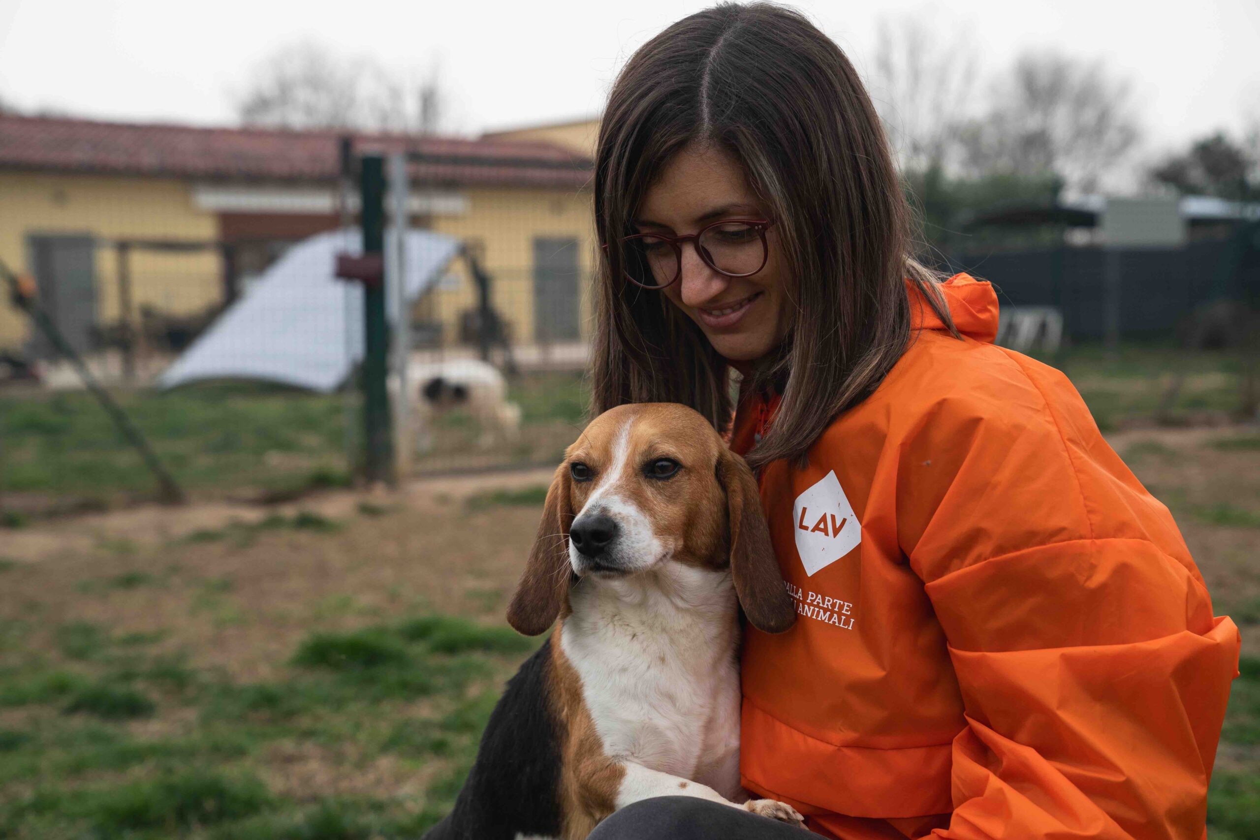 Dal Laboratorio alla Libertà: Il Caso di Jordan e le Criticità della Sperimentazione Animale
